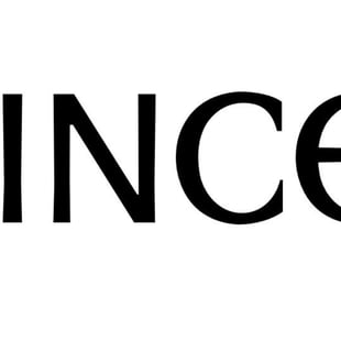 「インセイン（INCEIN）」のロゴ