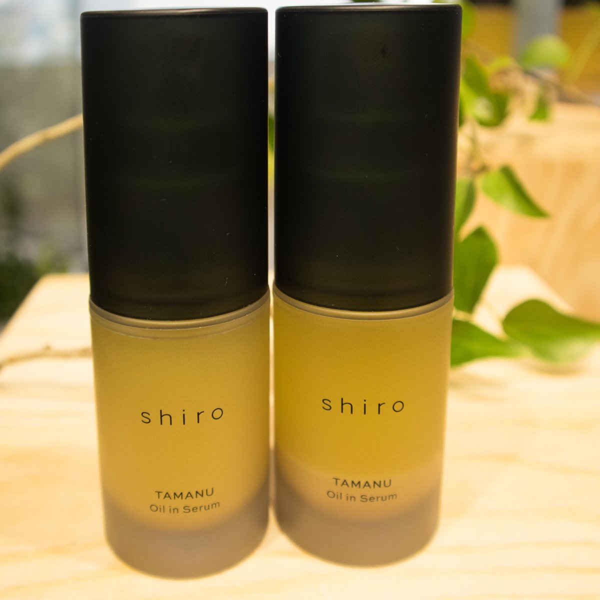 shiro」が和漢植物エキス配合の新スキンケア発表