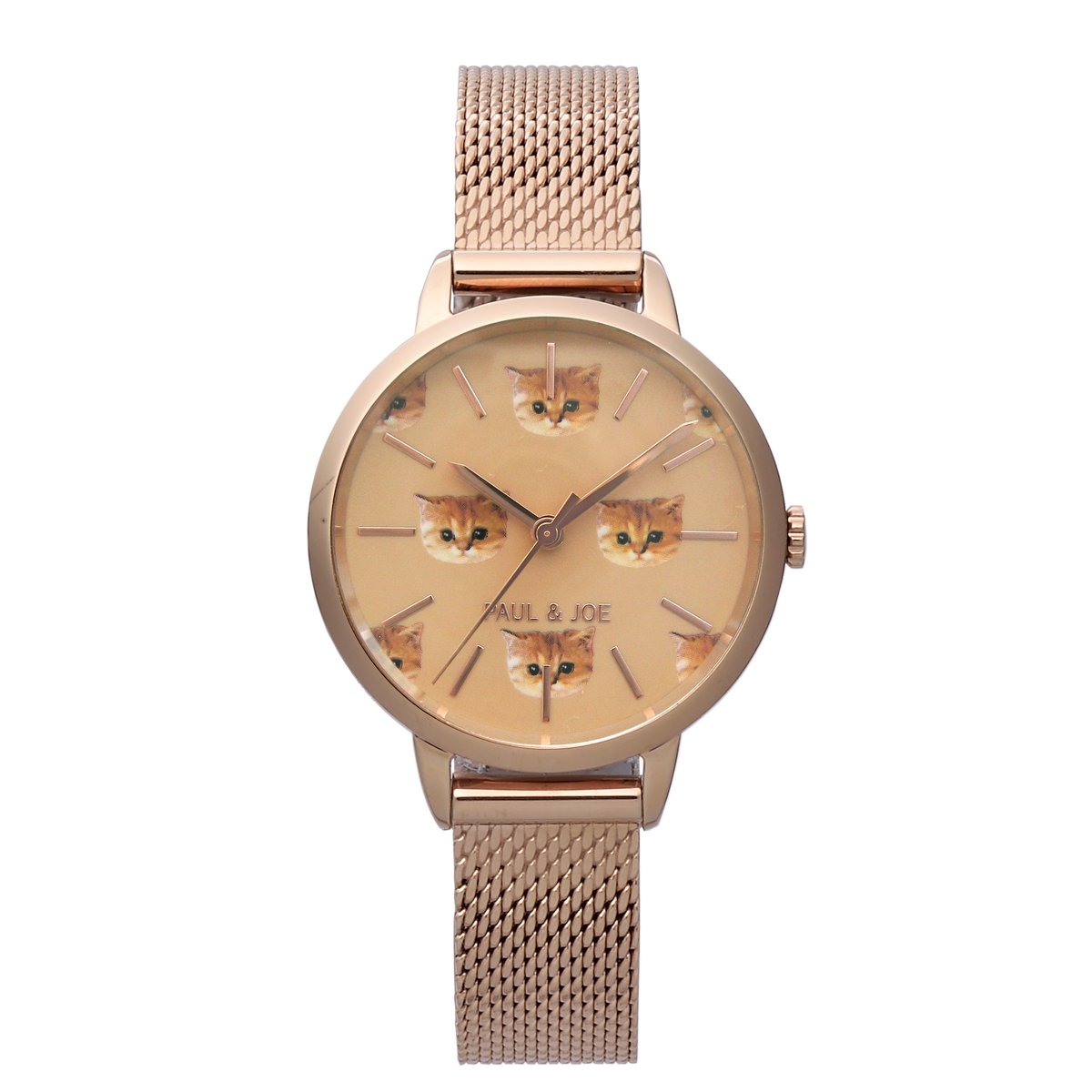 sale PAUL&JOE TIMELESS CAT定価￥33,000円OH済 sale PAUL&JOE TIMELESS CAT定価￥33,000円OH済