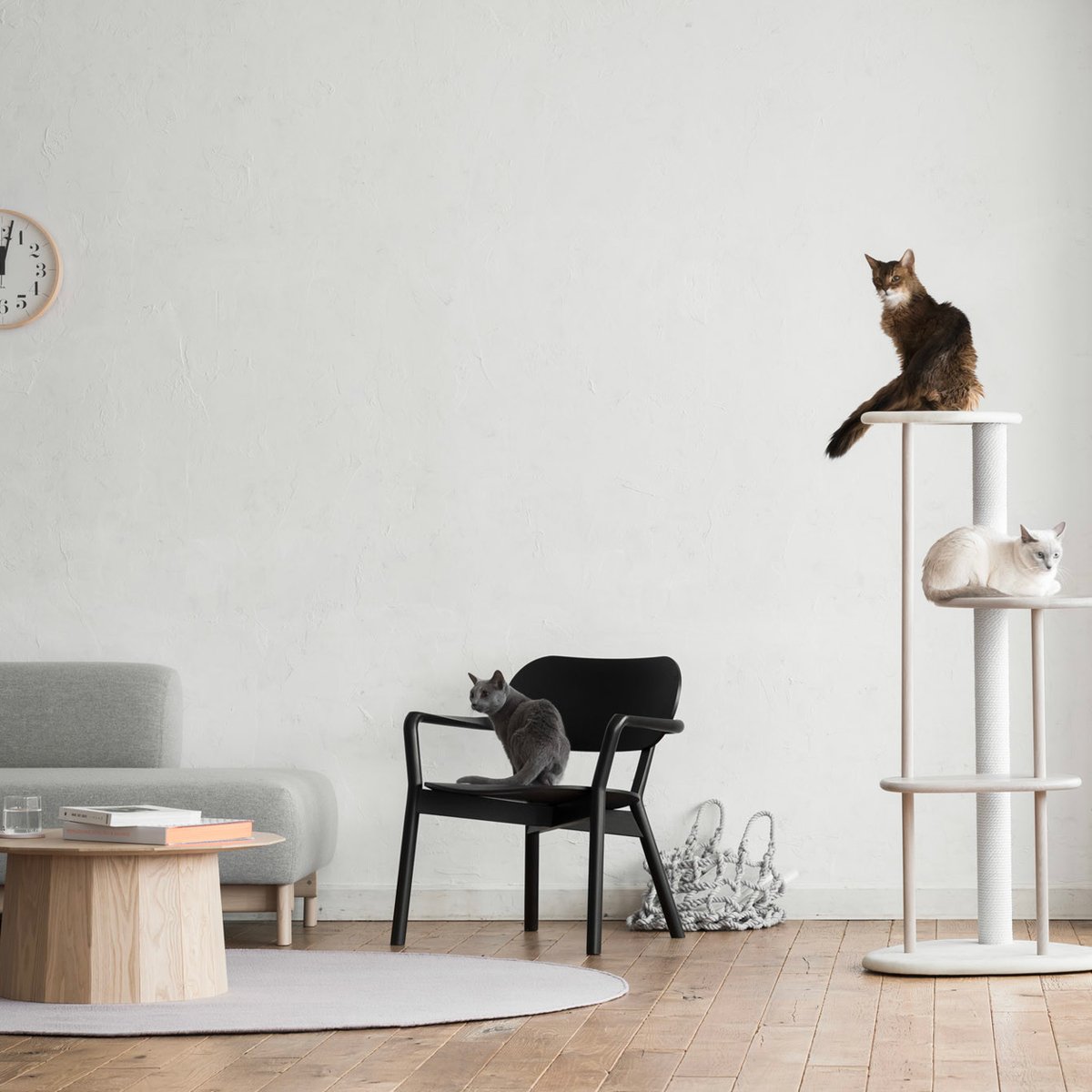 カリモク家具の猫用木製家具を展開する新ブランド「KARIMOKU CAT」が
