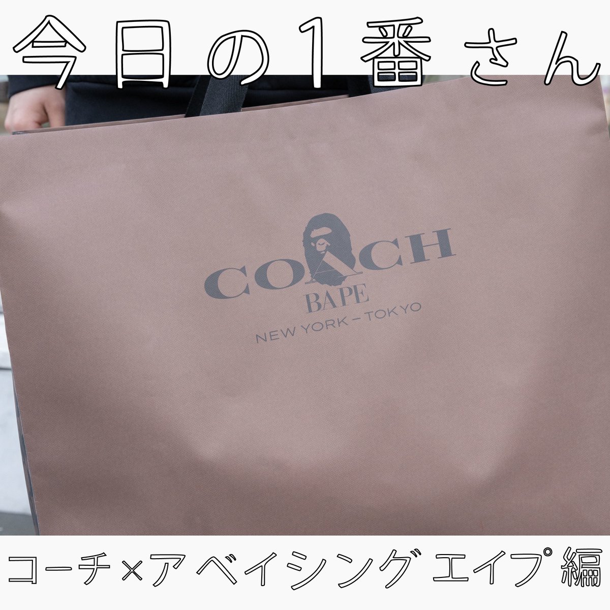 2個以上購入で送料無料 ◇激レア◇ COACH BAPE コラボ ウインド