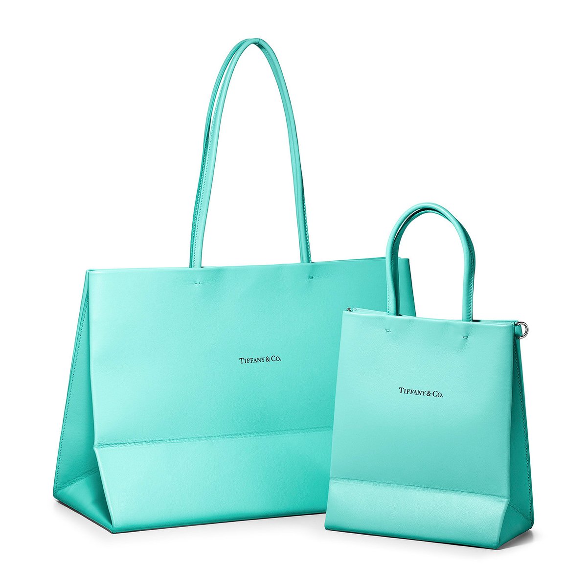 Tiffany &co. ティファニー ショッパー ショップ袋 - ラッピング・包装