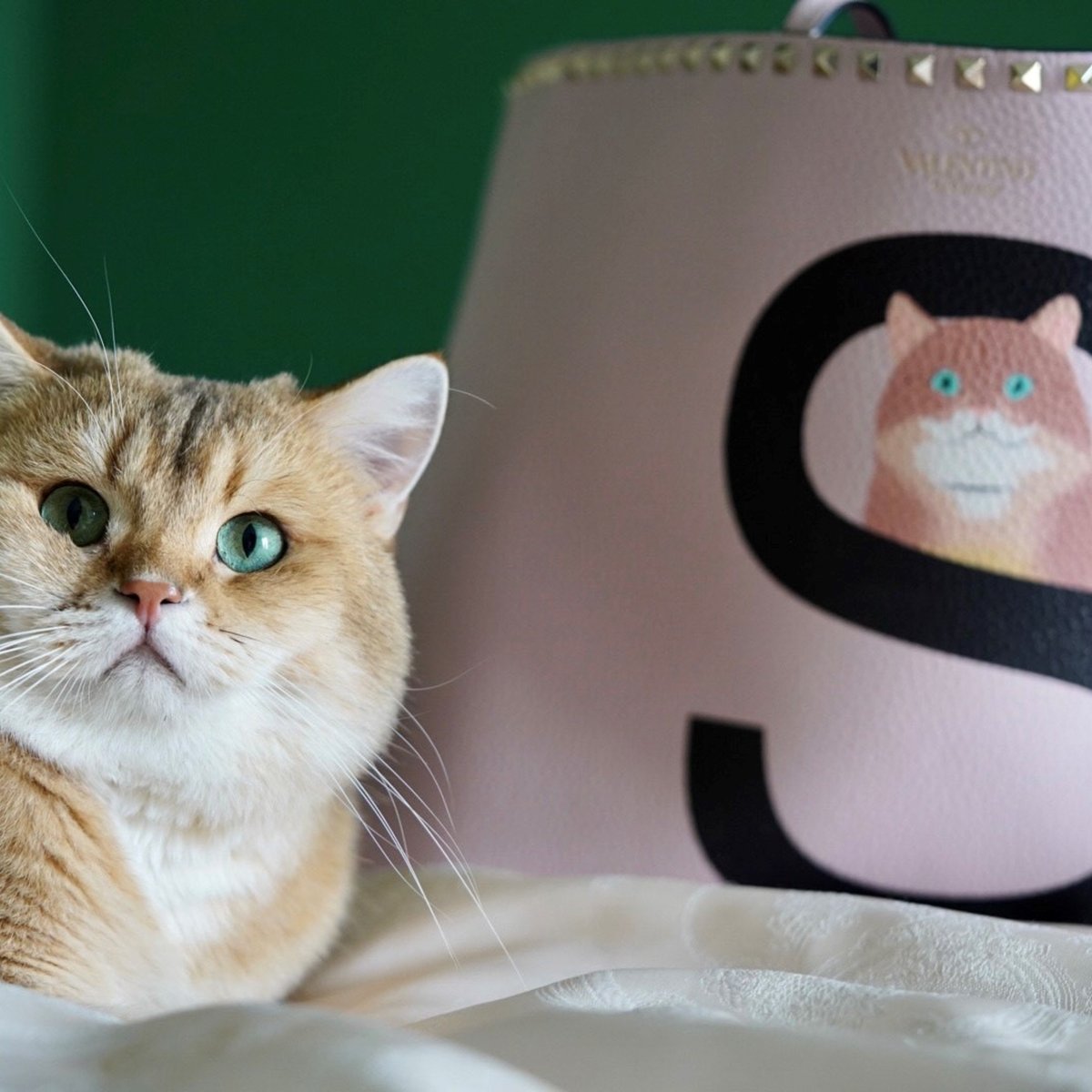 valentino_pet_20201106-001.jpg