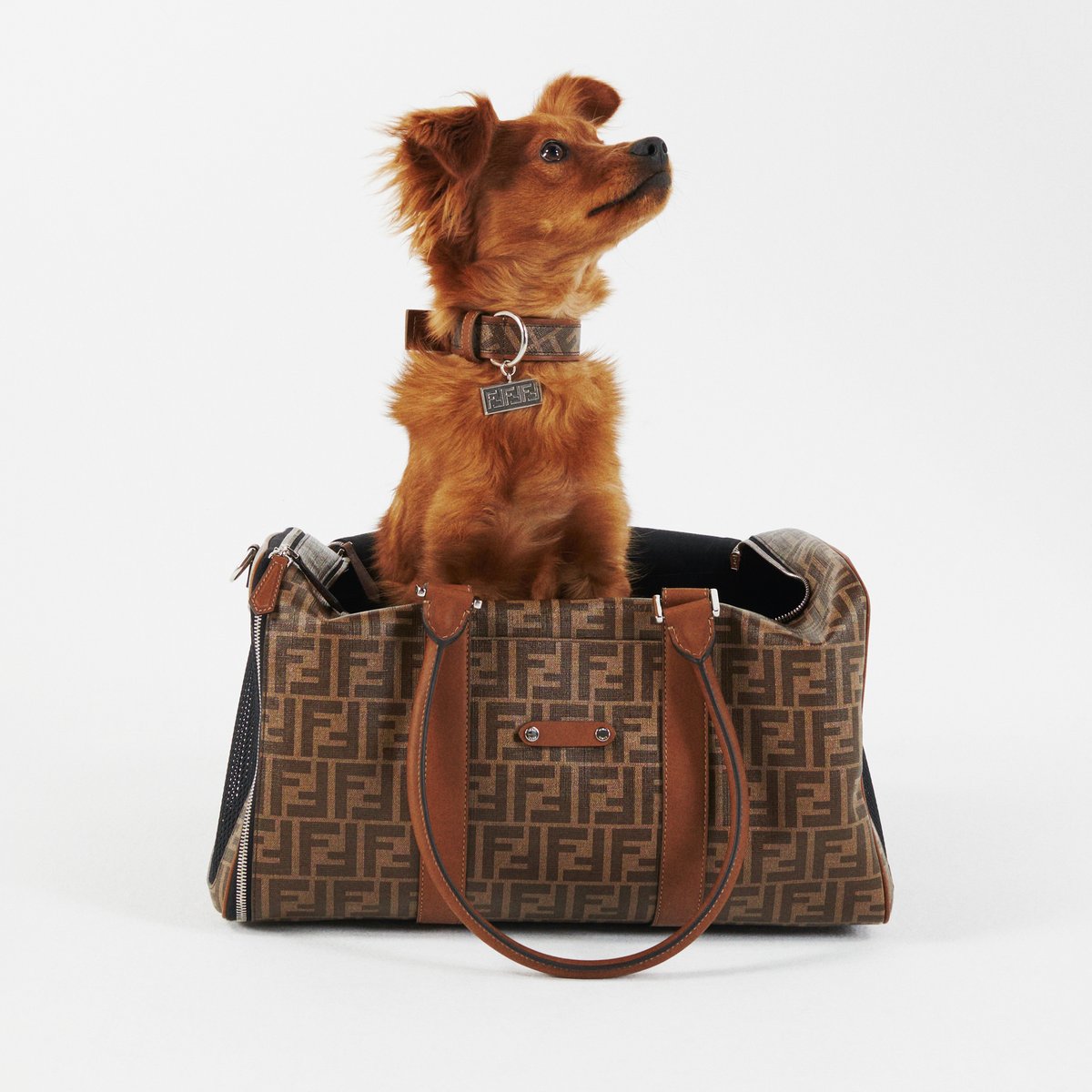 国内百貨店で購入/Sサイズ/Fendi モチーフ/犬服（ドッグコート） フェンディがペットのためのアクセサリー発売、キャリーバッグやドッグ