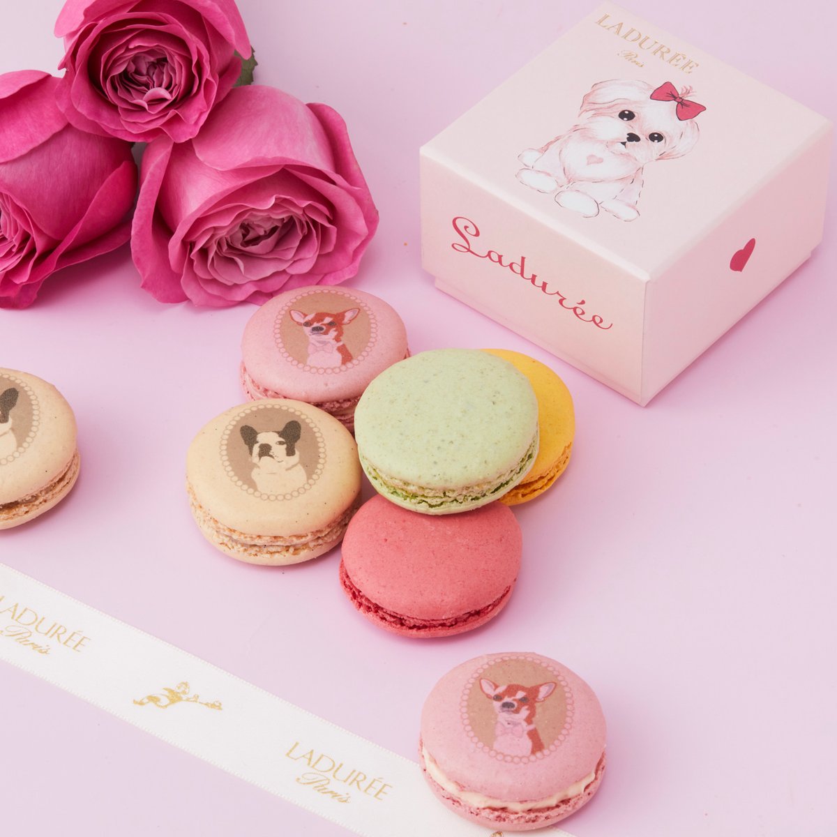 laduree-20210517-007.jpg