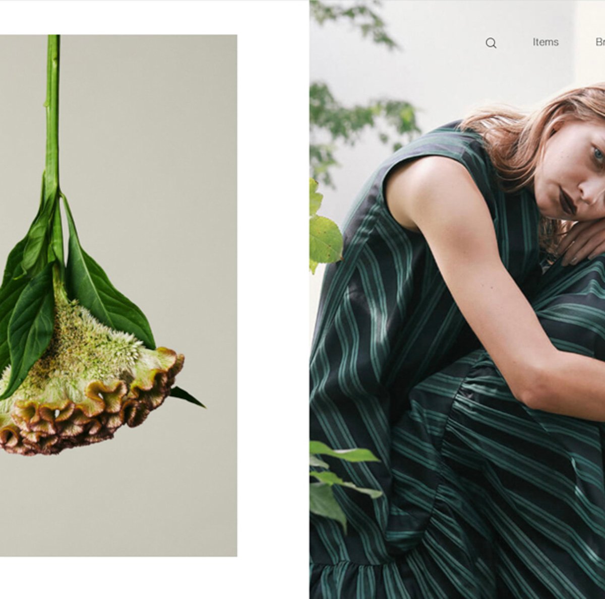 TSIがデジタルキュレーションECメディアを開設、「ファッションと花と