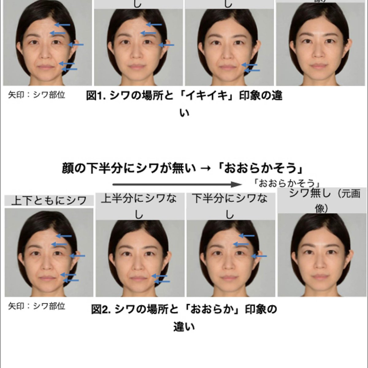 ポーラが顔のシワの分布と与える印象を解明 同一人物でも印象に変化