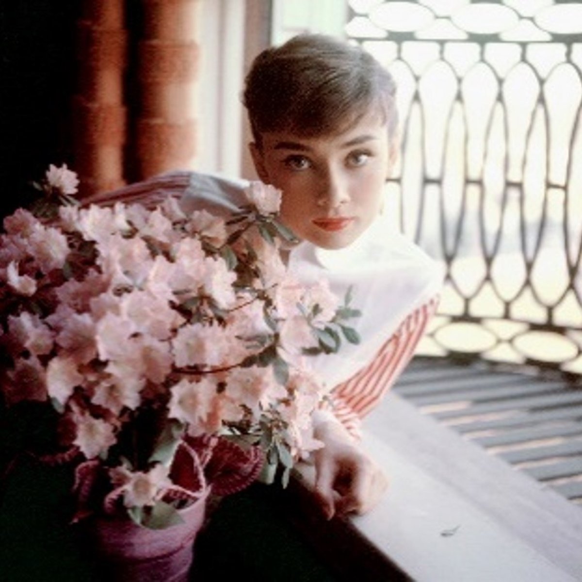 入手不可！/超希少！/ハリウッド女優フォト/レトロ/オードリーヘップバーン他 入手不可！/超希少！/ハリウッド女優フォト/レトロ/オードリー