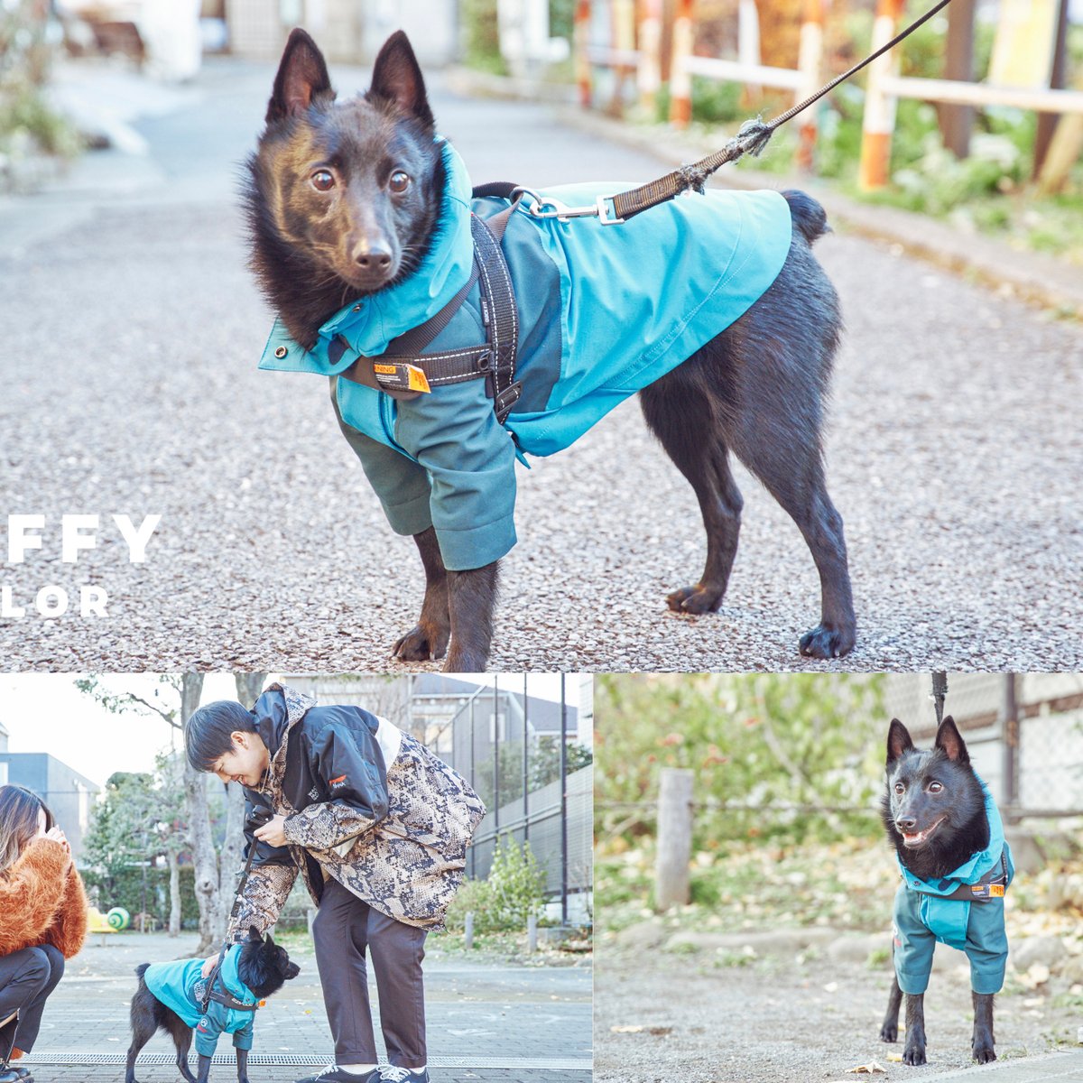 飼い主の服を愛犬用にリメイクする新サービス「FLAFFY TAYLOR