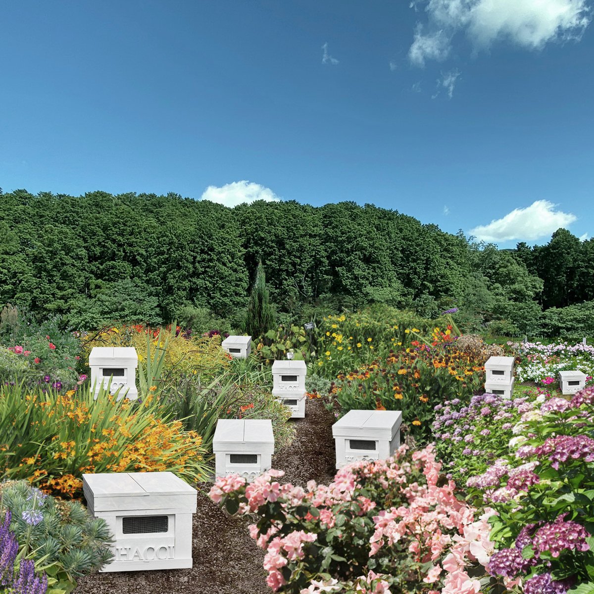 ハッチがミツバチが快適に過ごせる「ミツバチの楽園」を三重県に