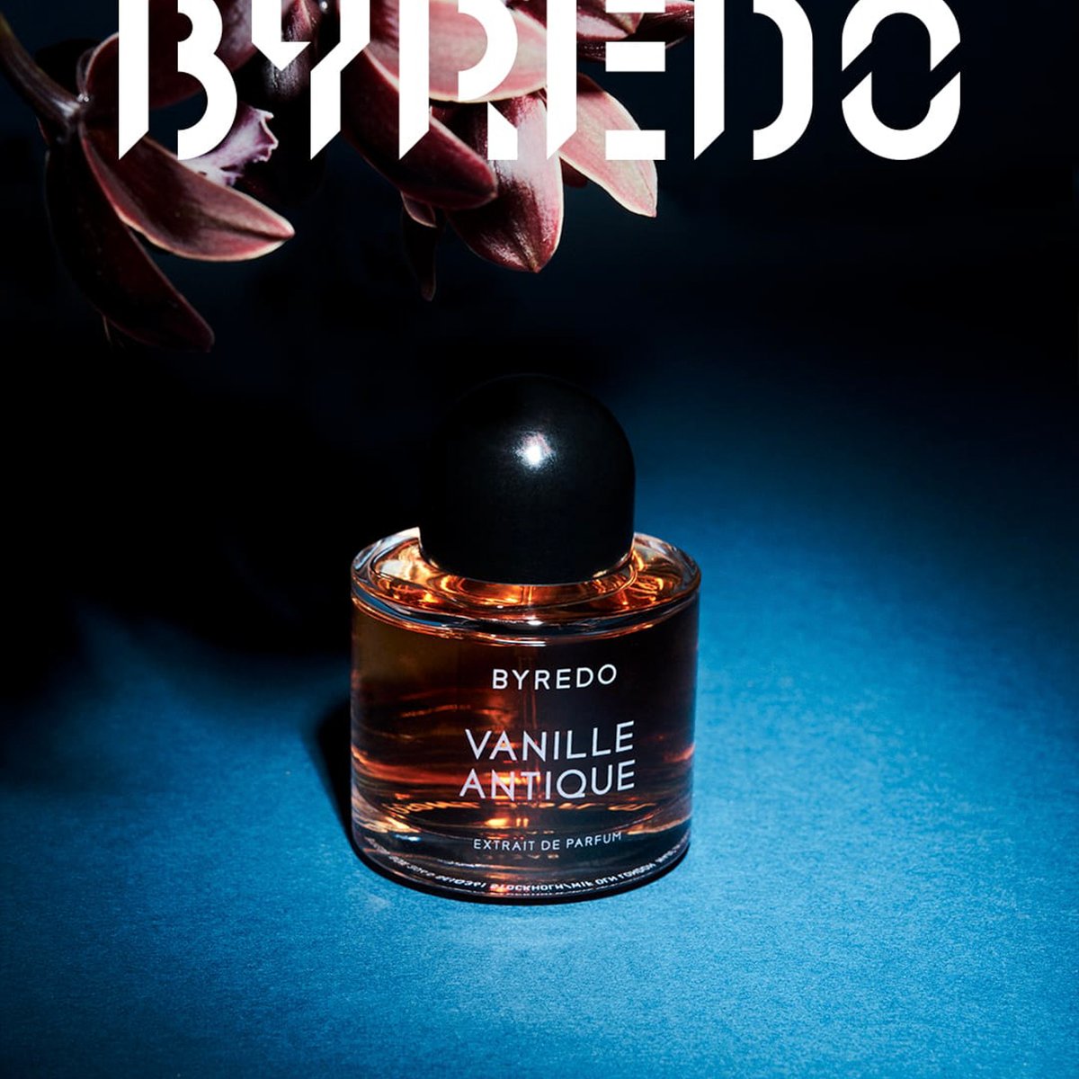 100%安心保証 BYREDO 香水 DE REINE バイレード レンヌドニュイ DE