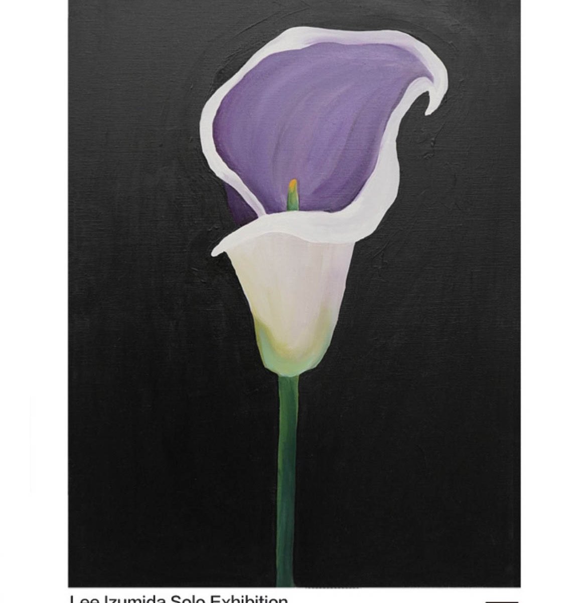 イズミダ・リーの個展が大阪「イマジン」で開催 ジュエリーブランドと