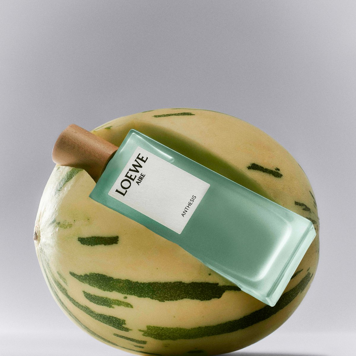 loewe-anthesis230524-