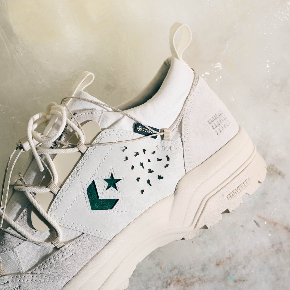 f-ce-converse-017.jpg