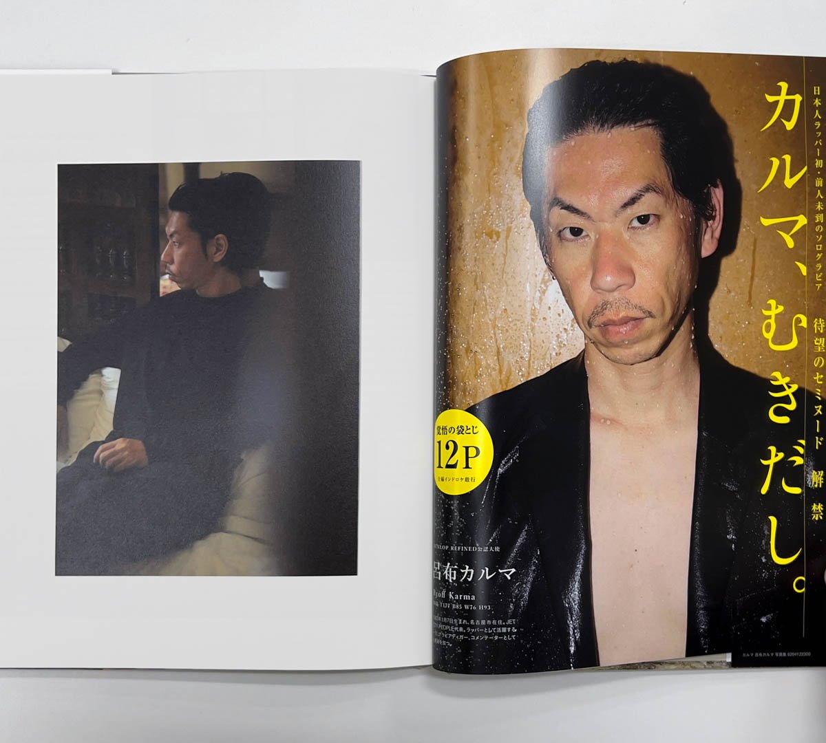 呂布カルマ散布るサンプルデモCD