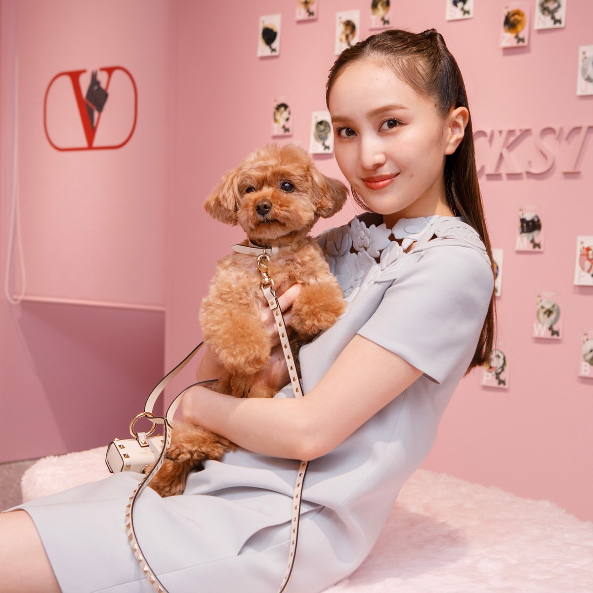 vlnt_rockstuds_pet_kanako_momo