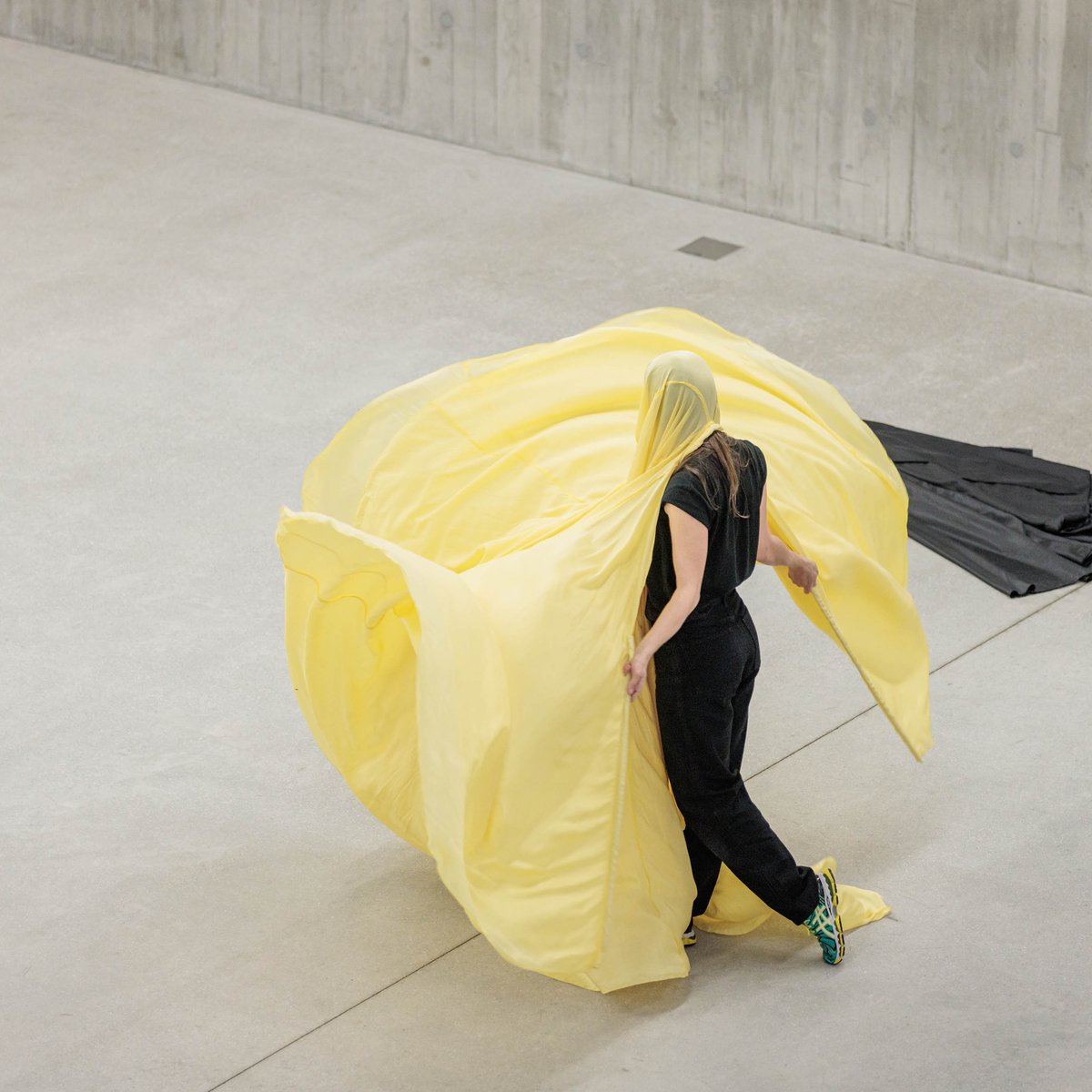 Verdance/ヴァーダンス FAB アーティストプルーフ Verdance/ヴァーダンス FAB アーティストプルーフ FLESH AND