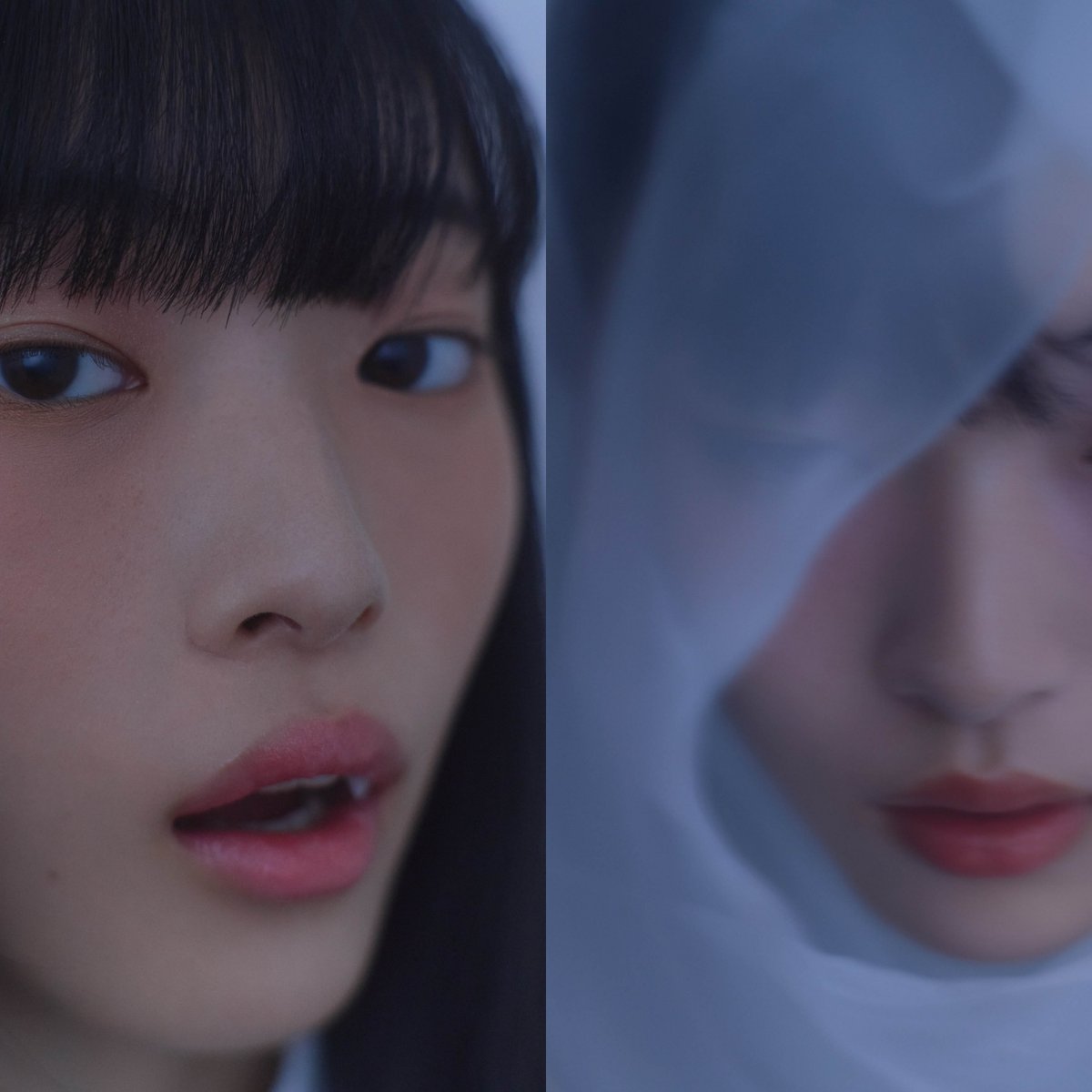 オサジ・春新作コスメ2025】 1／15、2／12発売・異なる質感で