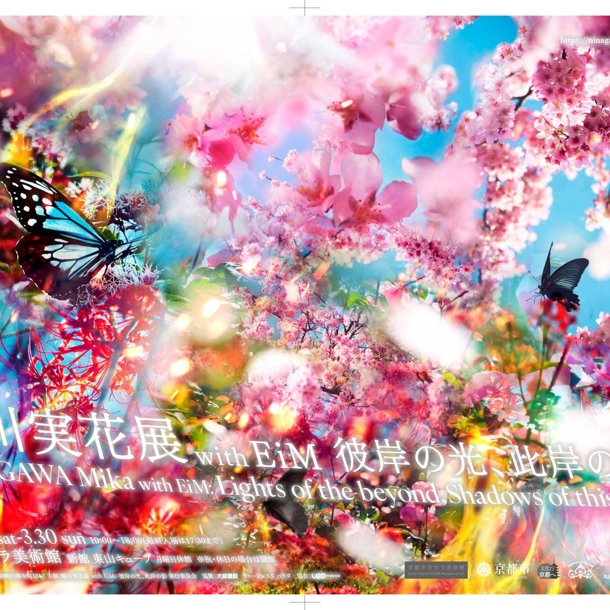 蜷川実花展 with EiM：彼岸の光、此岸の影」が京都市京セラ美術館で