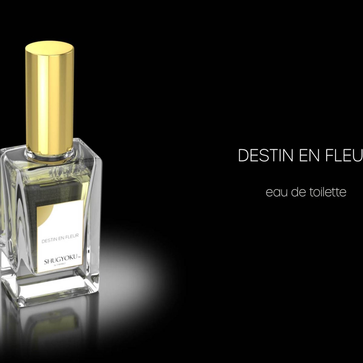 漢方に欧州式美容理論を融合したスキンケア「シュギョク」 100％天然