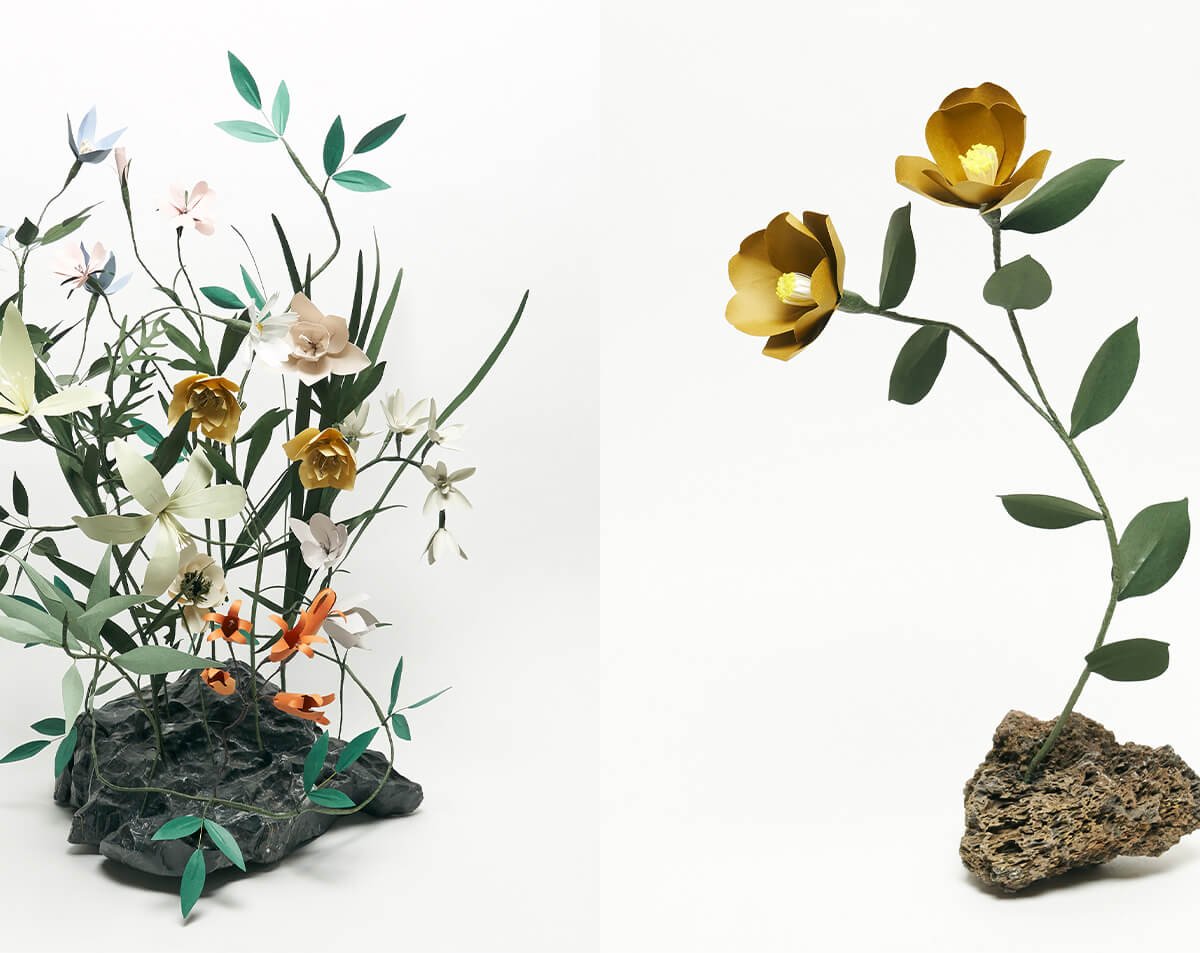 art20250212pc-d3be0946-9fa8-