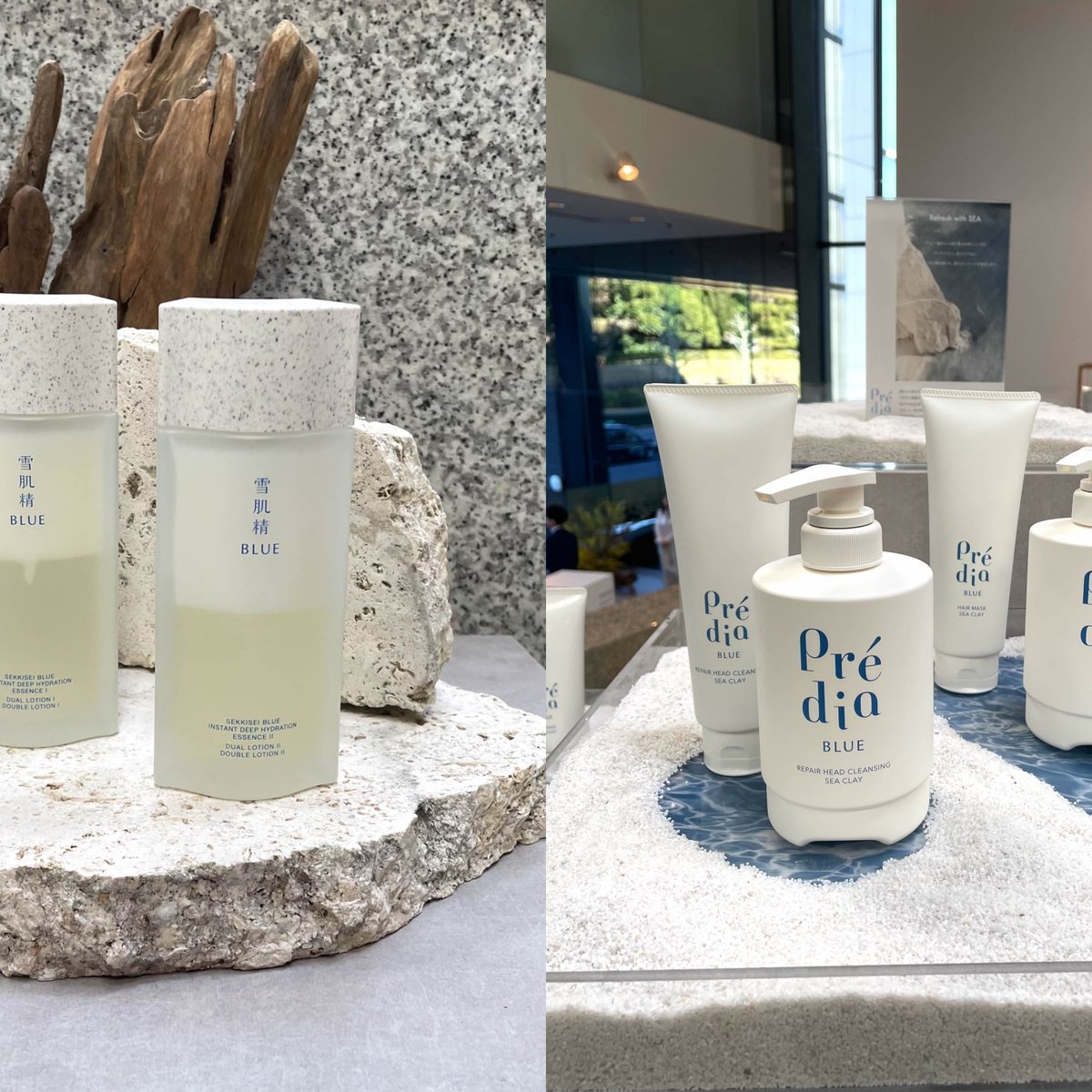 雪肌精とプレディアから新シリーズ誕生 拡大するクリーンビューティ