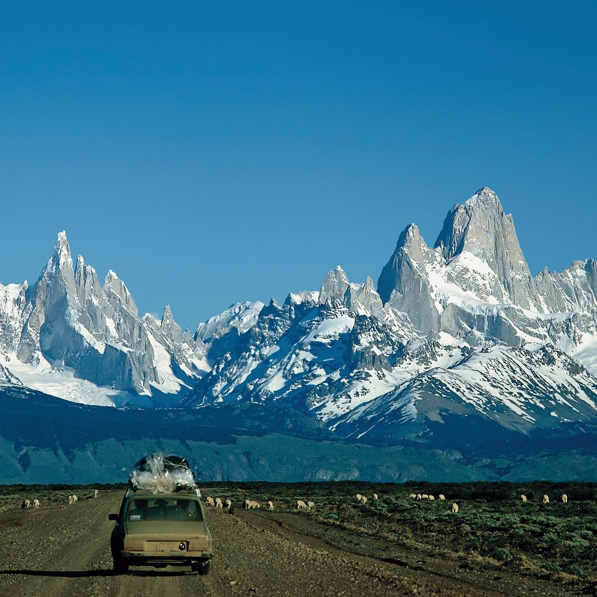 スーパーセール 半額タイムセール patagonia-journal-gallery- 趣味