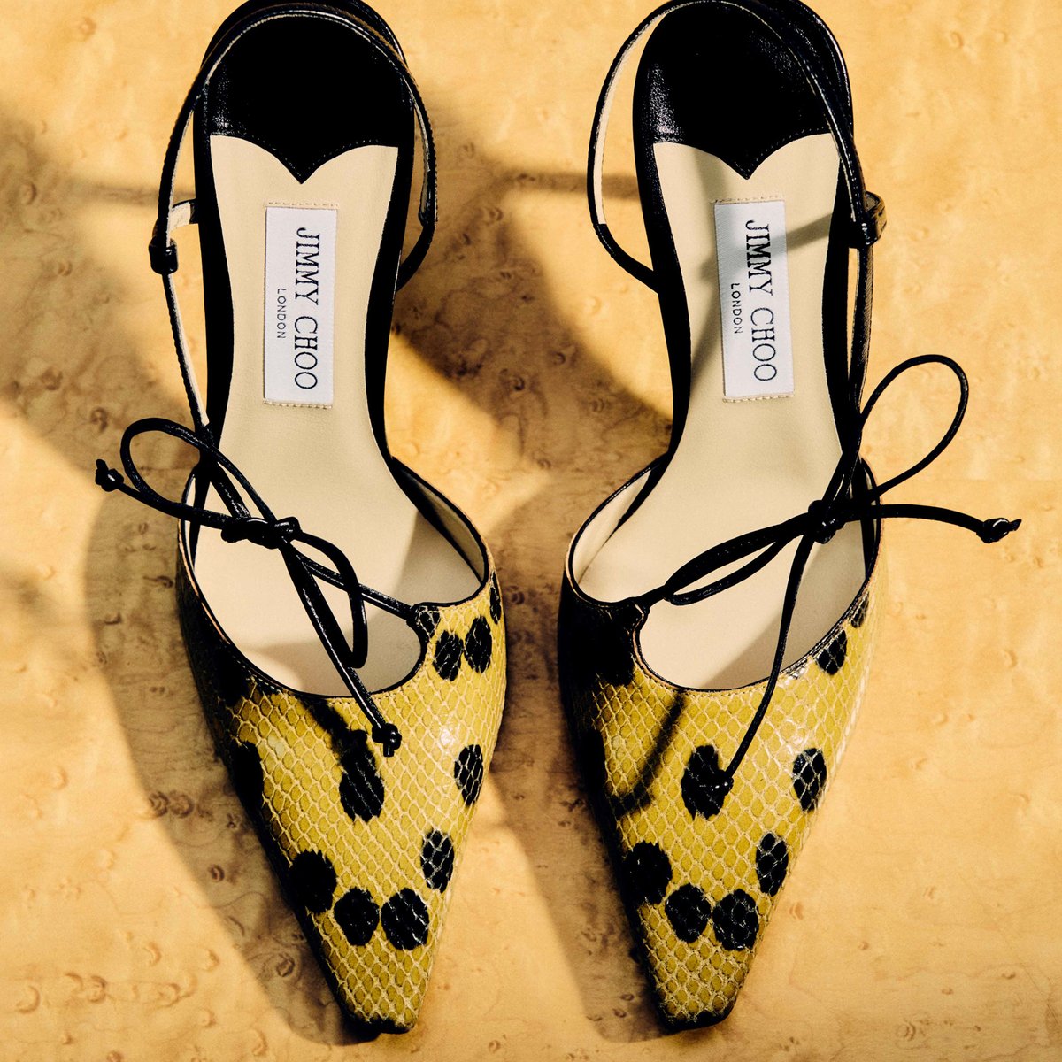 2025kutu-25-55c79225-e735-4977