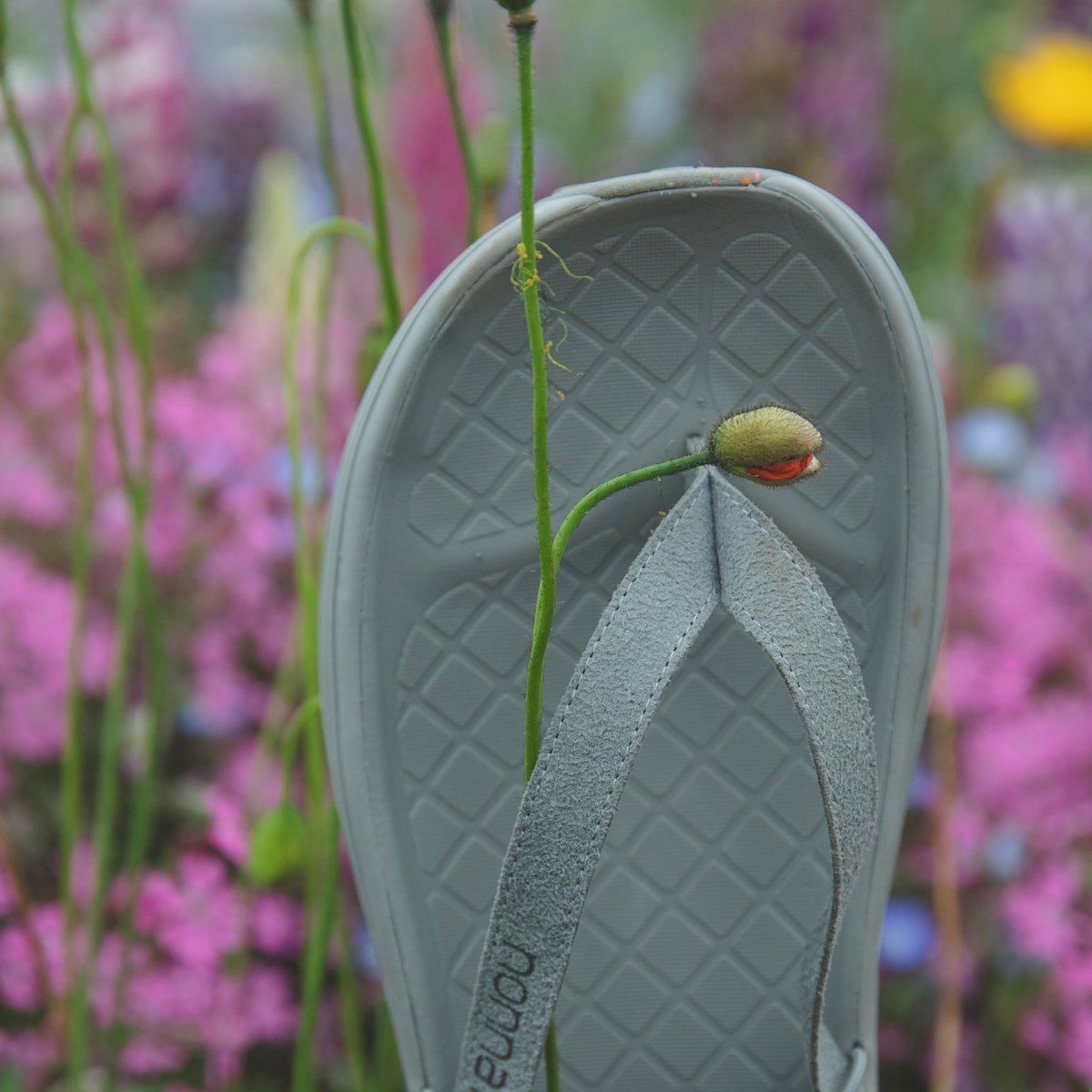 ノンさんリクアート RECORD LABEL シチズン ツノクロノ CITIZEN TSUNO CHRONO AN3660-81X