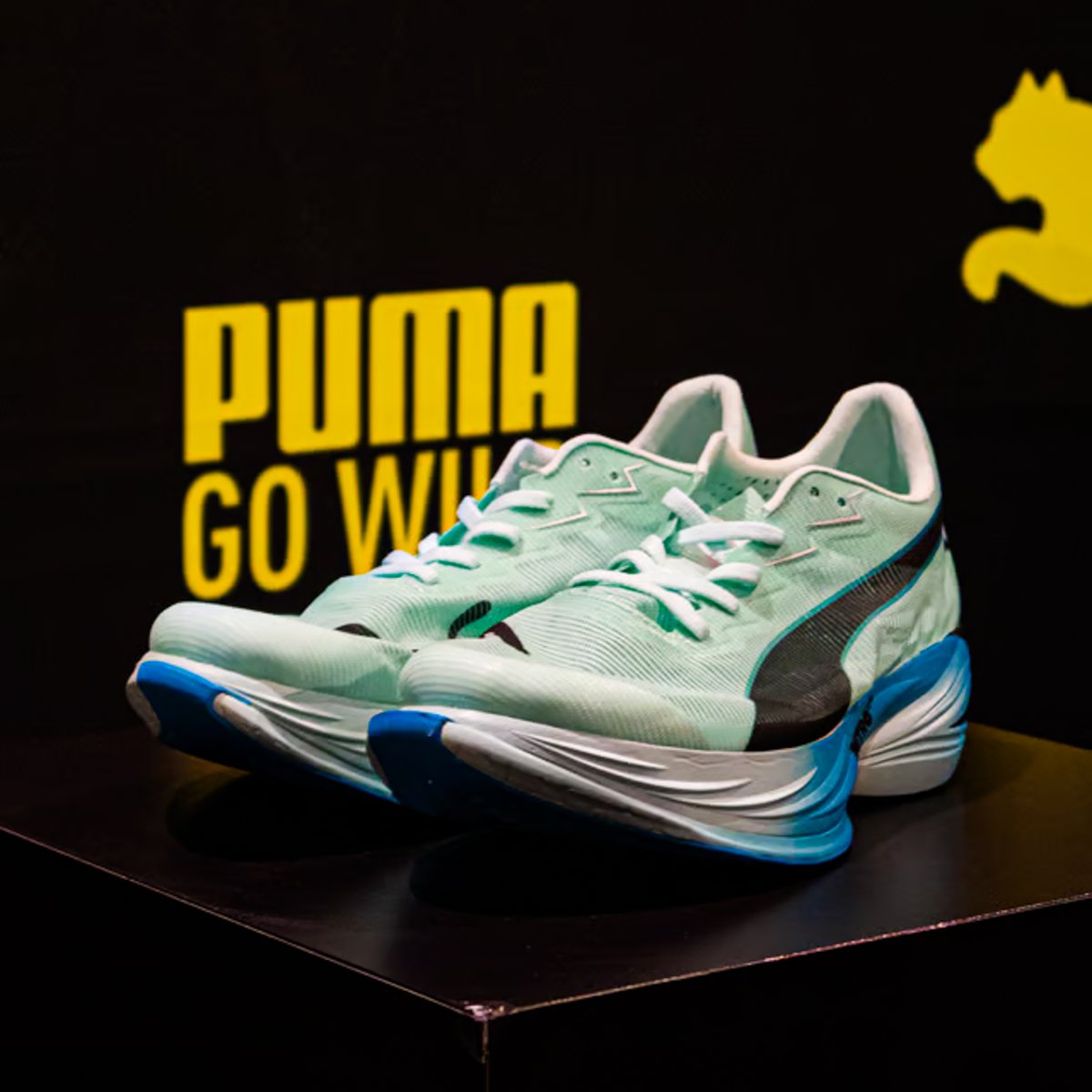 puma-abb5e092-4722-4a55-8e55-