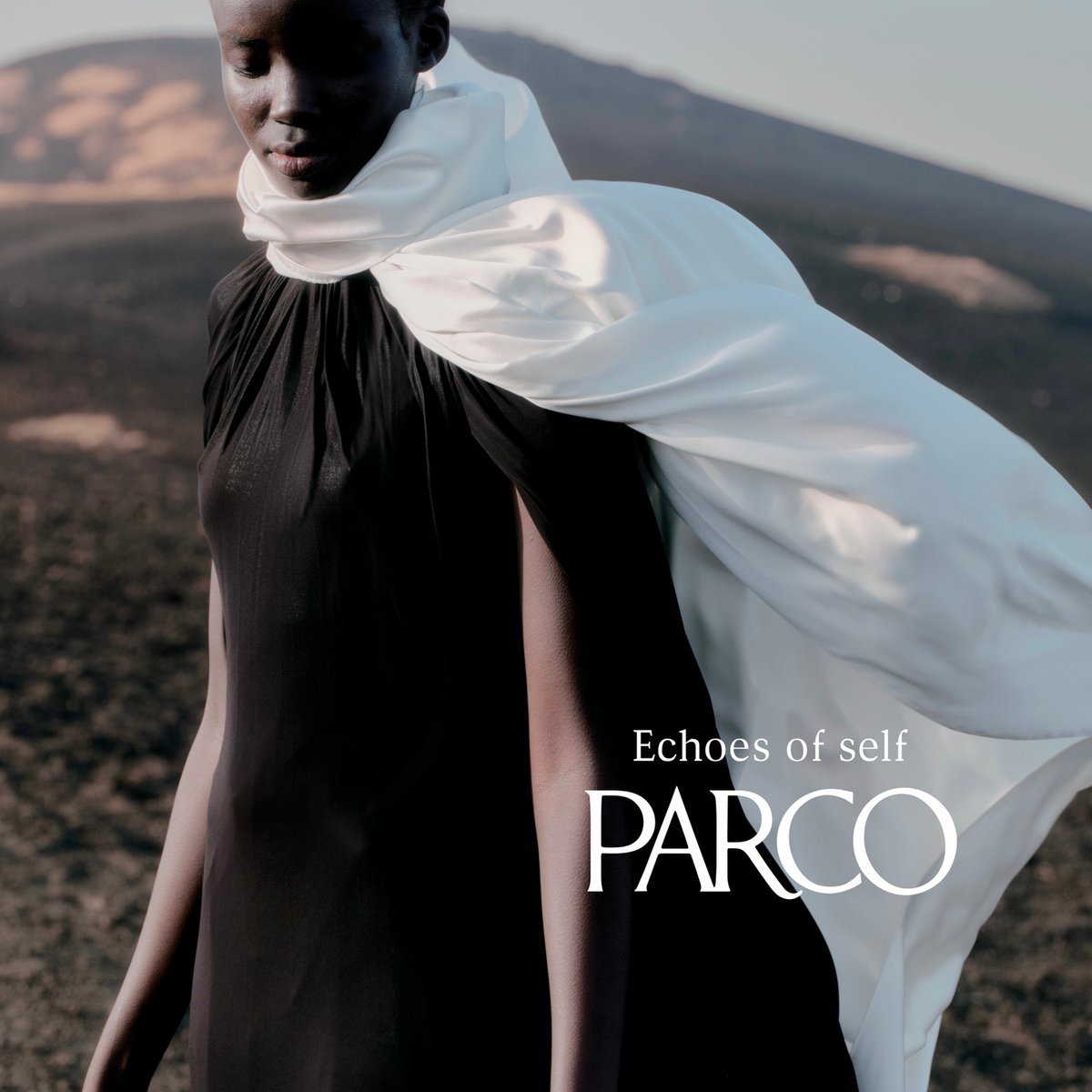 parco-25a-6-0cddfb0d-5094-4ff5
