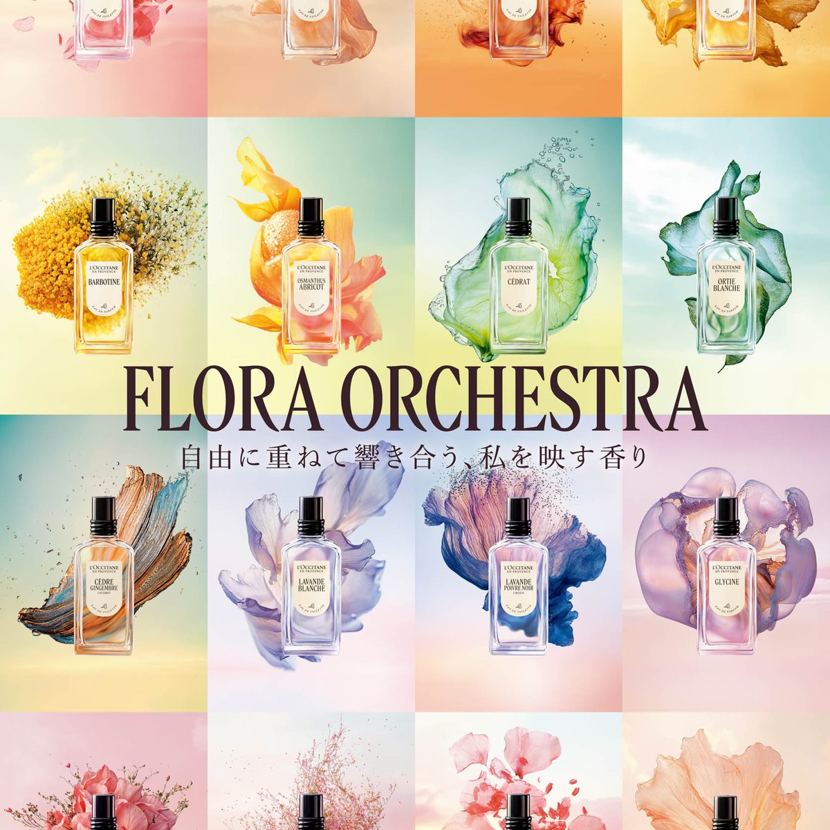 aoc-top-1-e4dad46d-c887-43ed-