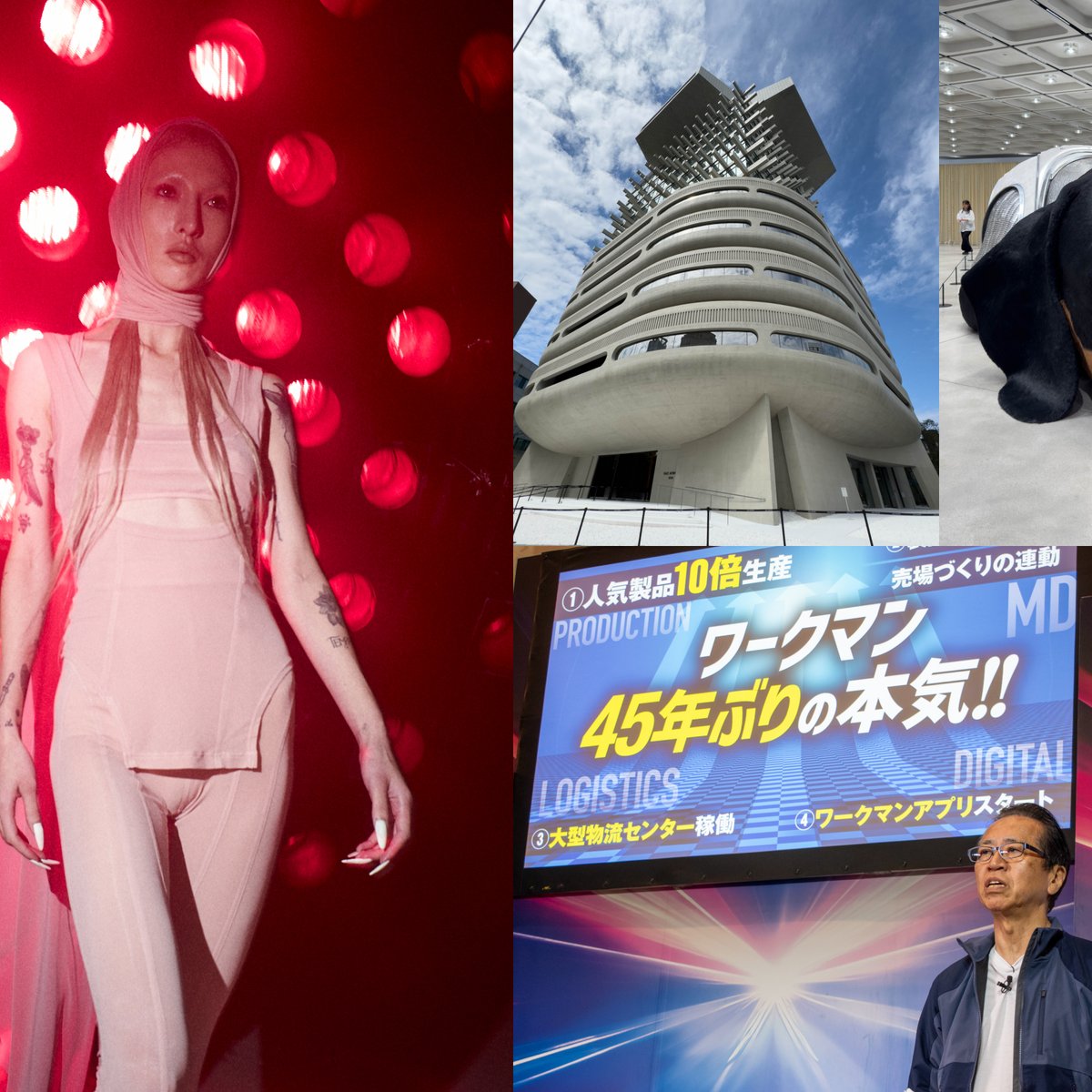 ユキコハナイ運営会社が解散、ベイクルーズ新体制、注目のムッシャン初