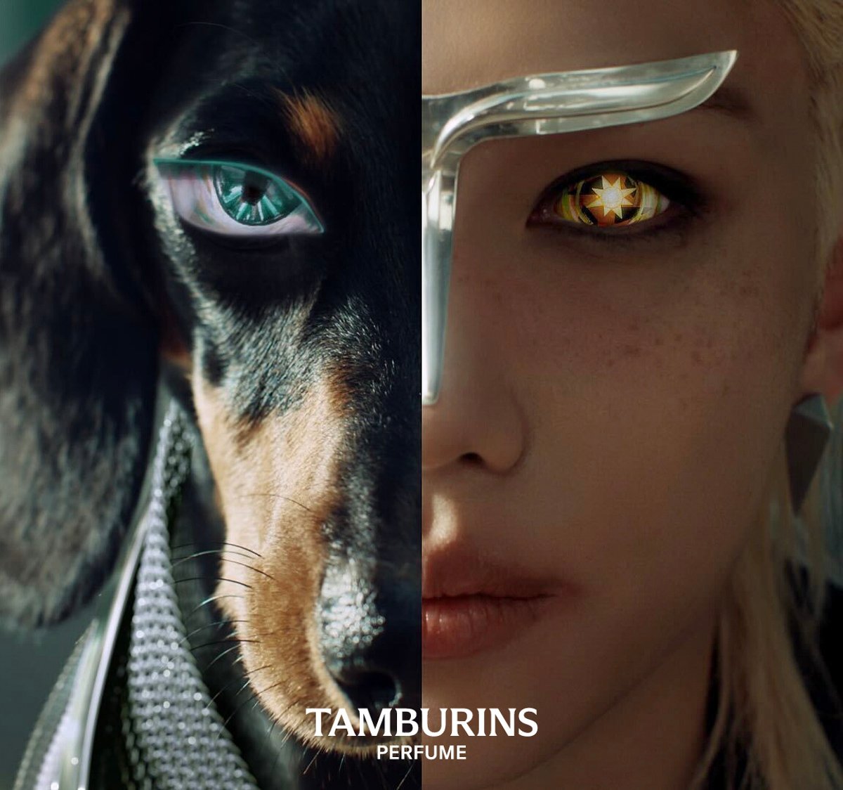 tamburins-sunshine-straykids-