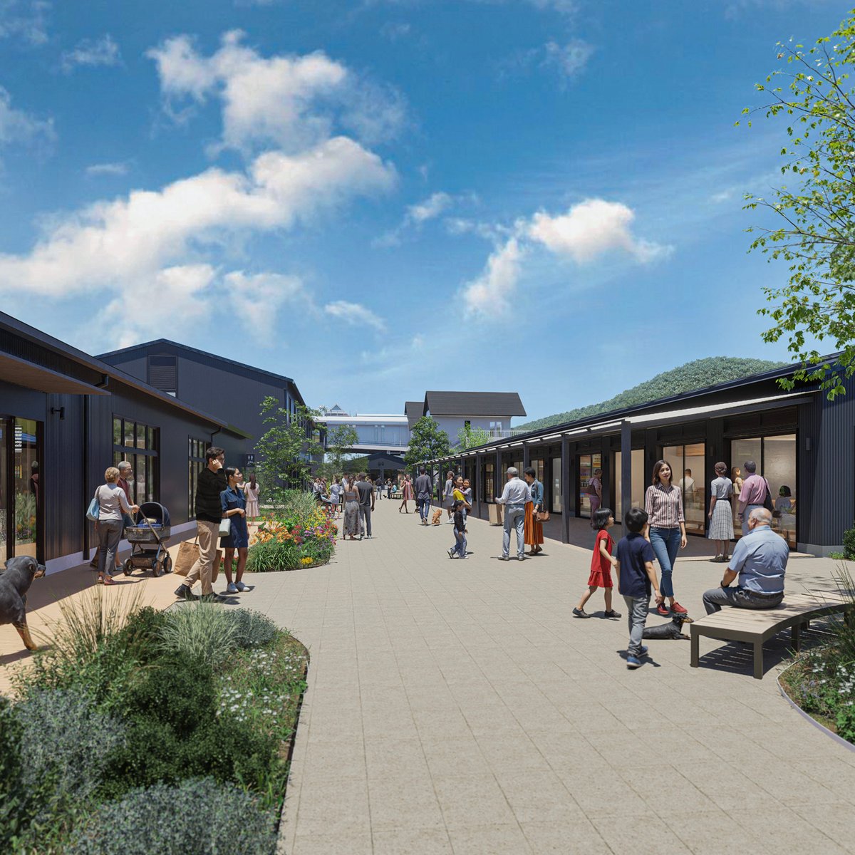 軽井沢 karuizawa-t-site-20251027-001-