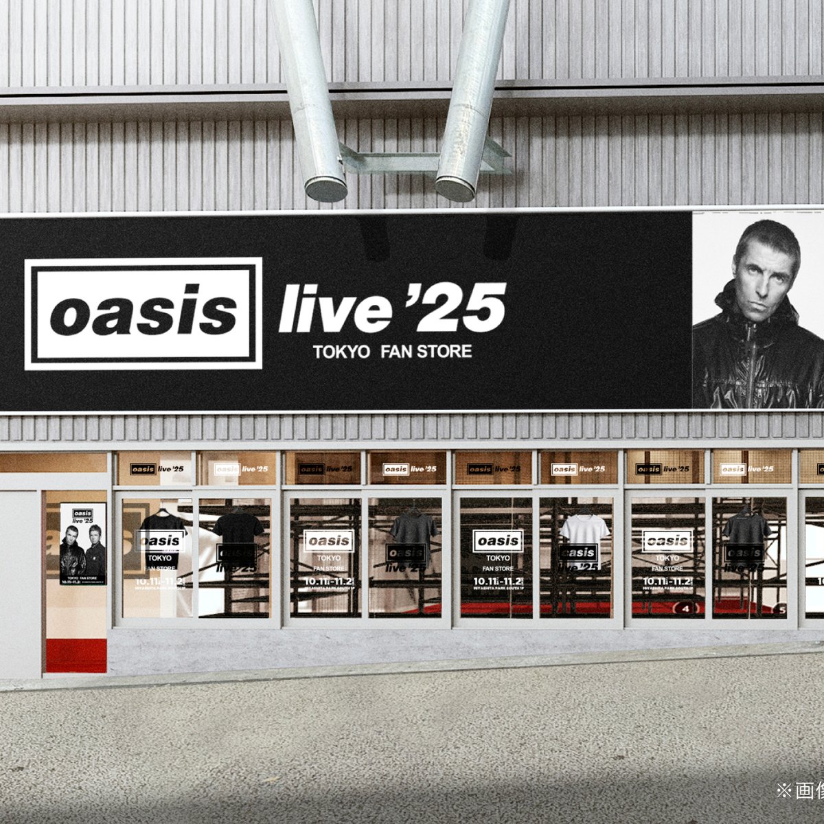 oasis LIVE25 パンフレット ショッパーおまけ 東京ドーム オアシス 超希少 oasis LIVE25 パンフレット オアシス ショッパー チラシ