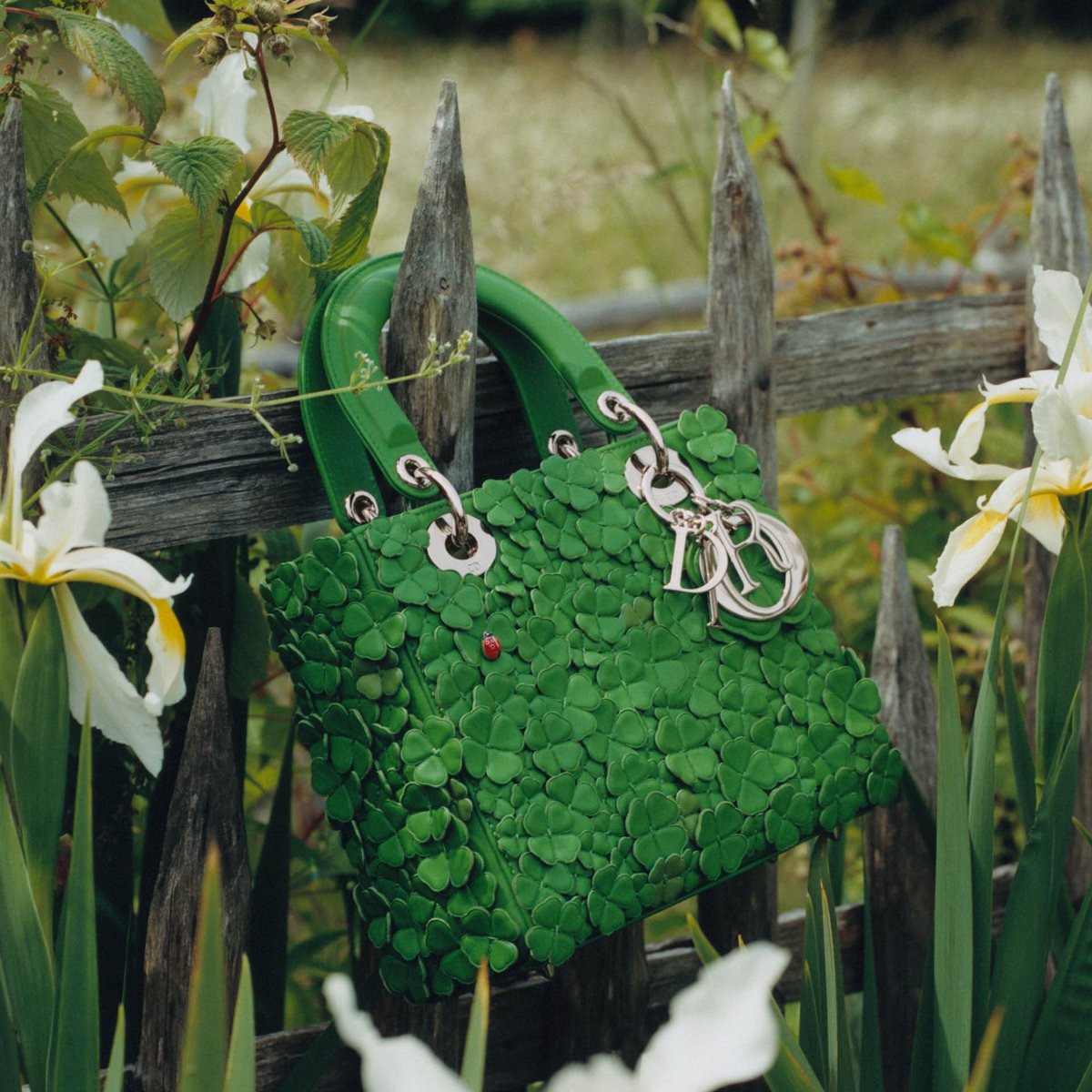 dior-main-20251216-2025-001-