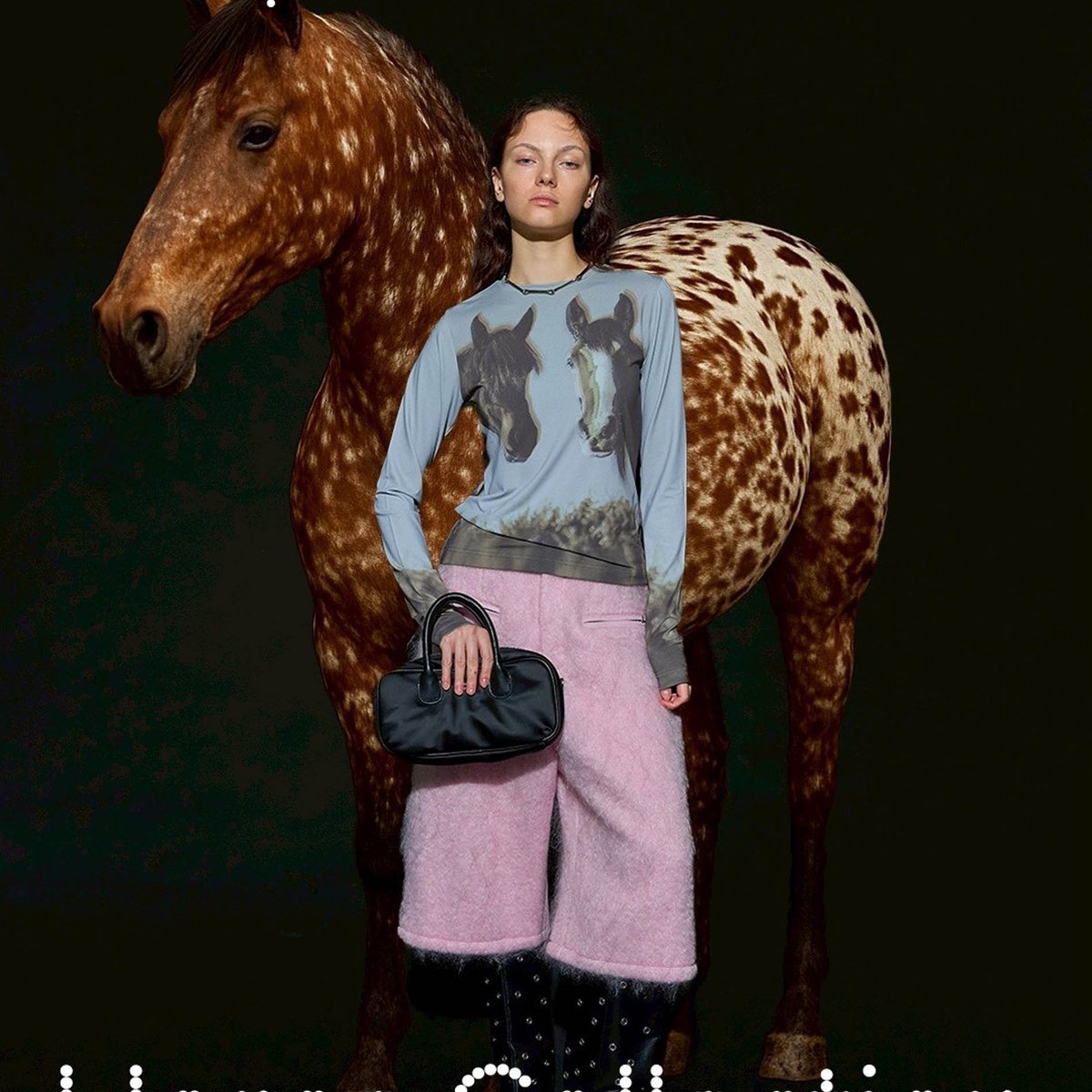 maison-special-horse-