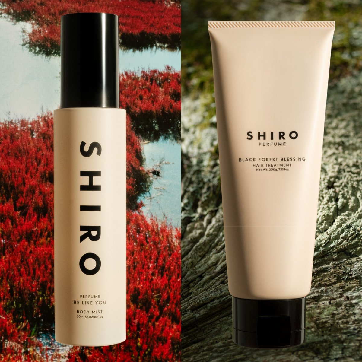 SHIROから全30種の新作アイテム “新しい香水のカタチ”楽しむボディ