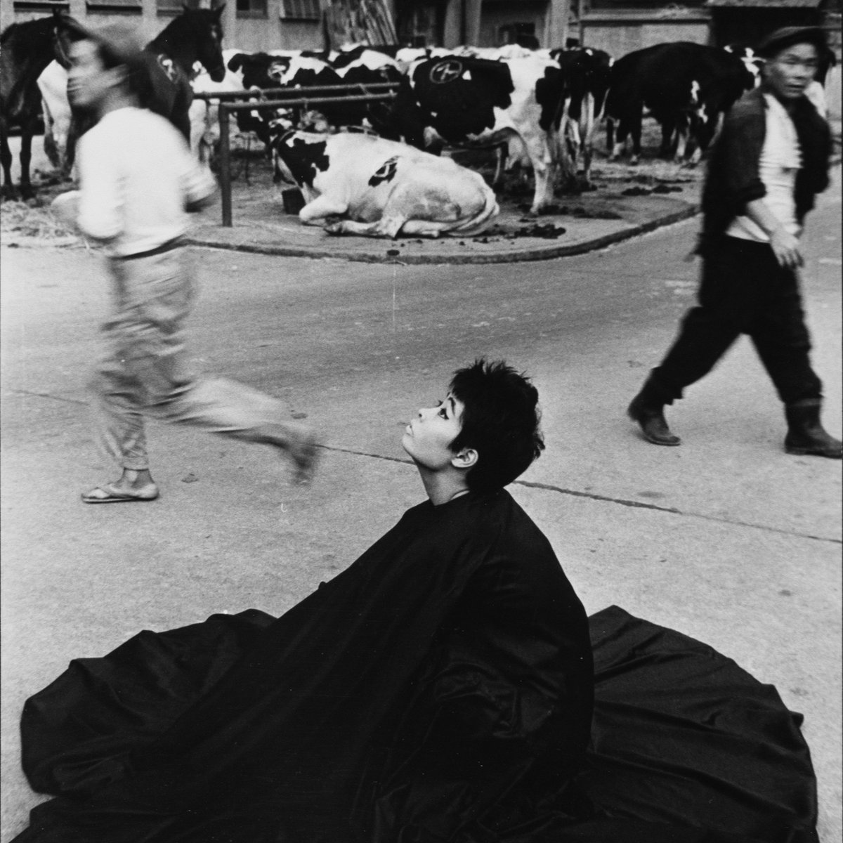 京都のアートスペース「PURPLE」が深瀬昌久の写真展を開催 妻に