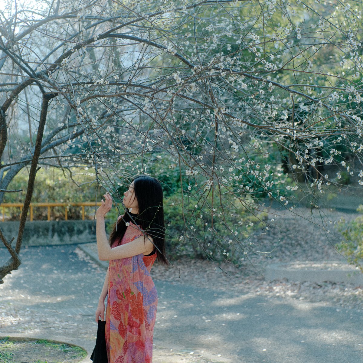 小さな気づきや喜びに、私をひらいてくれる服 「プリーツ プリーズ