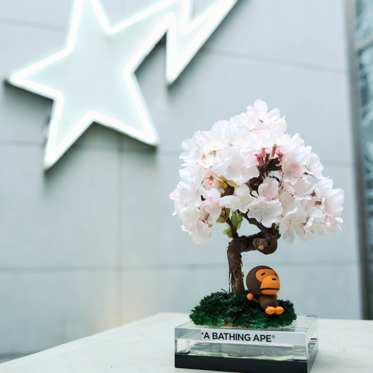bape Baby Milo × RE BONSAI sakura re 盆栽 ベイプがアートプロジェクト「REBONSAI」とコラボ、BABY MILO®が付属