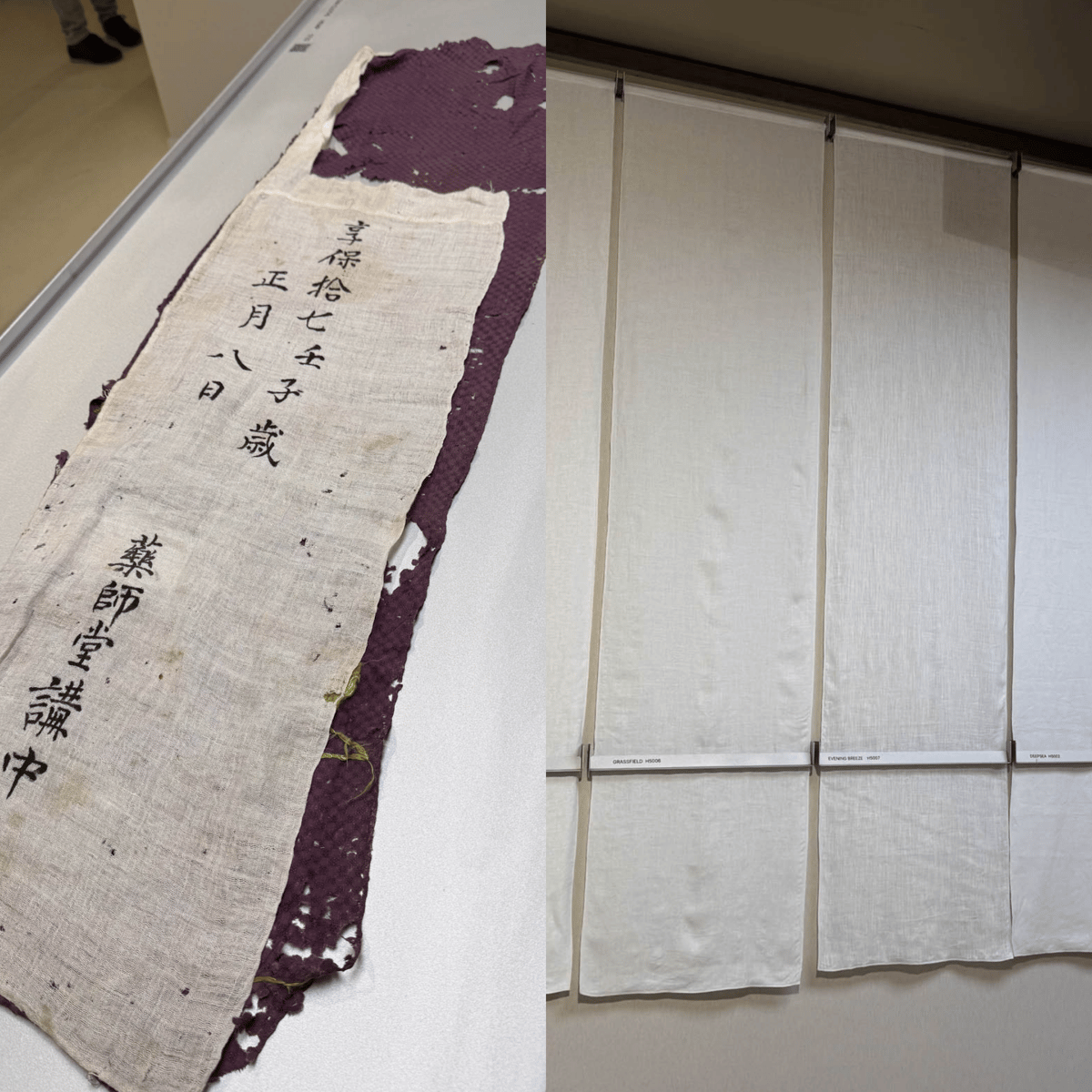 HOSOO、絹に続く第2の柱「ヘンプ」を拡大 サステナブル素材として 