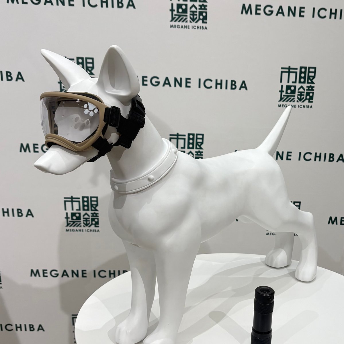 愛犬の目を紫外線から守る新提案 眼鏡市場から初の犬用サングラス