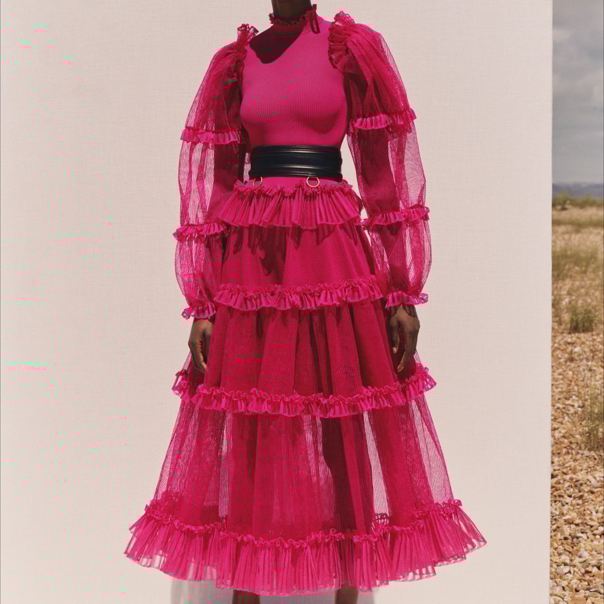 Alexander McQueen フラワープリント プリーツドレス ピンク Alexander McQueen - An anemone print flower dress with