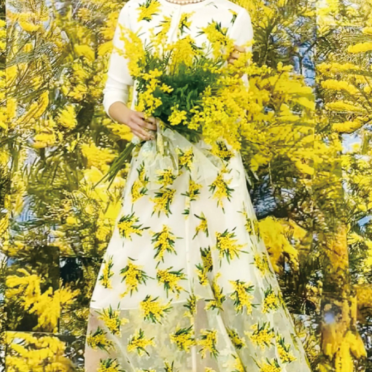 YUKITORIIINTERNATIONAL-2023ss-