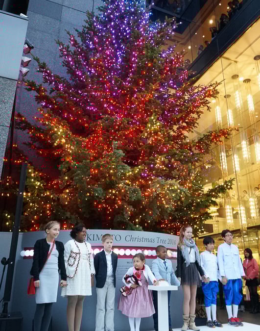 mikimoto_tree_20141114_001.jpg