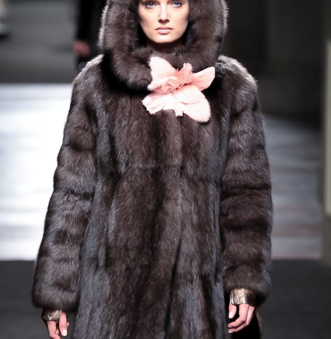 Fendi！フェンディ！リアルファー！美品 2025年最新】Fendi ファー種類：リアルファー 毛皮・ファー