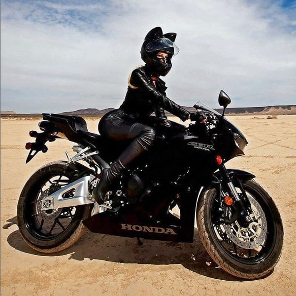neko_helmet_20161206_001.jpg