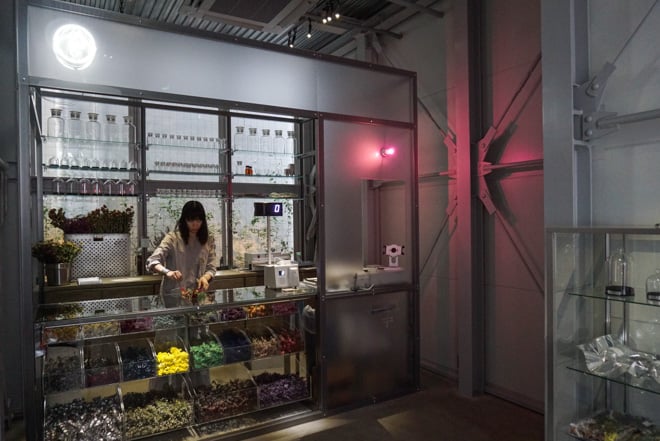 ドライフラワーに染色やペイントも、エデンワークスの新店舗「EW